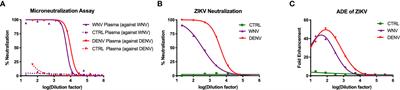 Evaluating the Safety of West Nile Virus Immunity During Congenital Zika Virus Infection in Mice